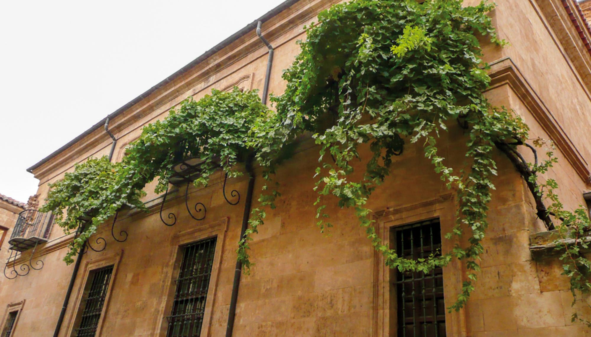 Casa Museo de Miguel de Unamuno en Salamanca